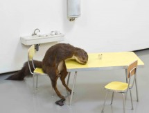 Cattelan Bidibidobidiboo